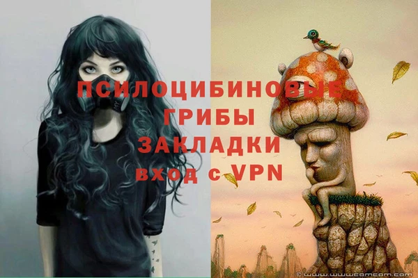 прущая мука Нея