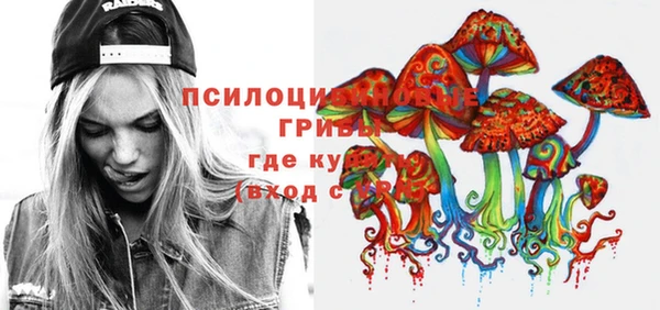 мяу мяу мука Надым