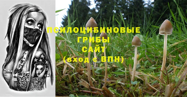 прущая мука Нея
