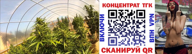 продажа наркотиков Белгород ТГК жижа