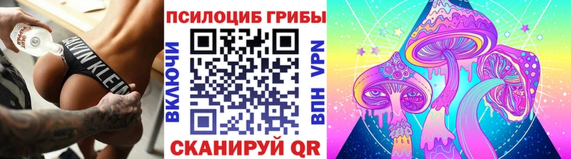 Галлюциногенные грибы Cubensis Белгород